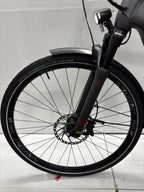 Pegasus Strong EVO 9, RH63 für große Männer