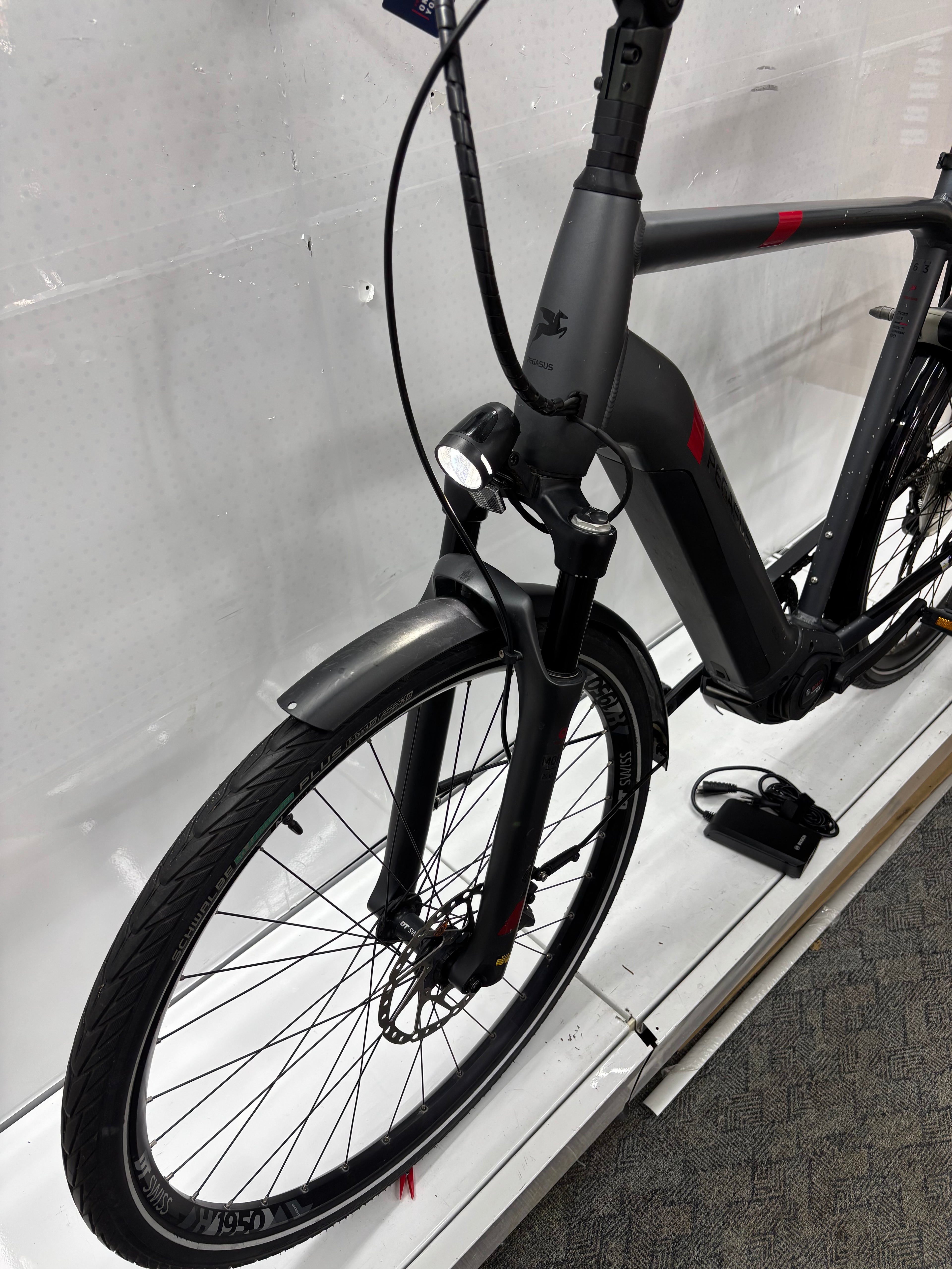 Pegasus Strong EVO 9, RH63 für große Männer