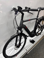 Pegasus Strong EVO 9, RH63 für große Männer