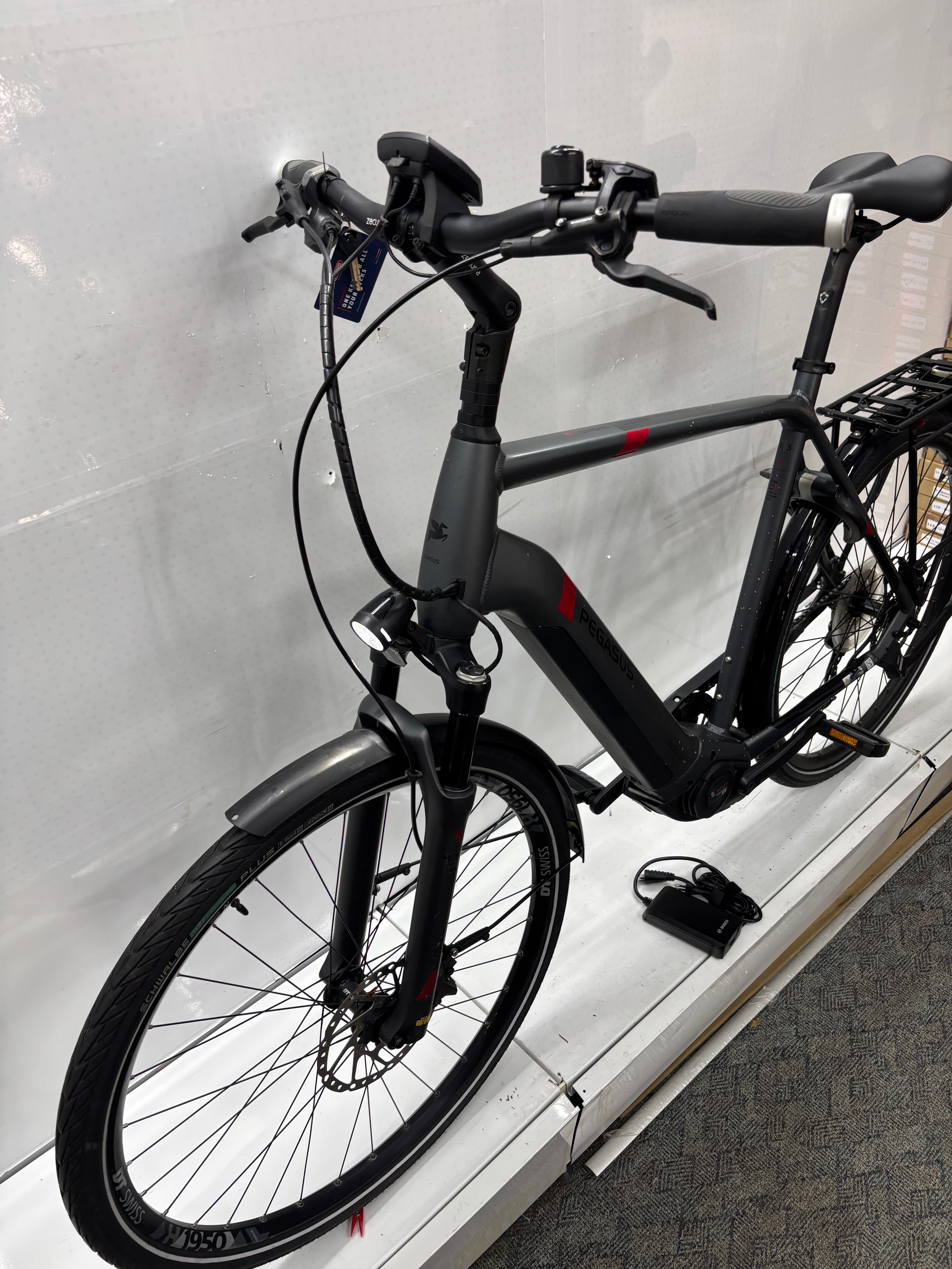 Pegasus Strong EVO 9, RH63 für große Männer