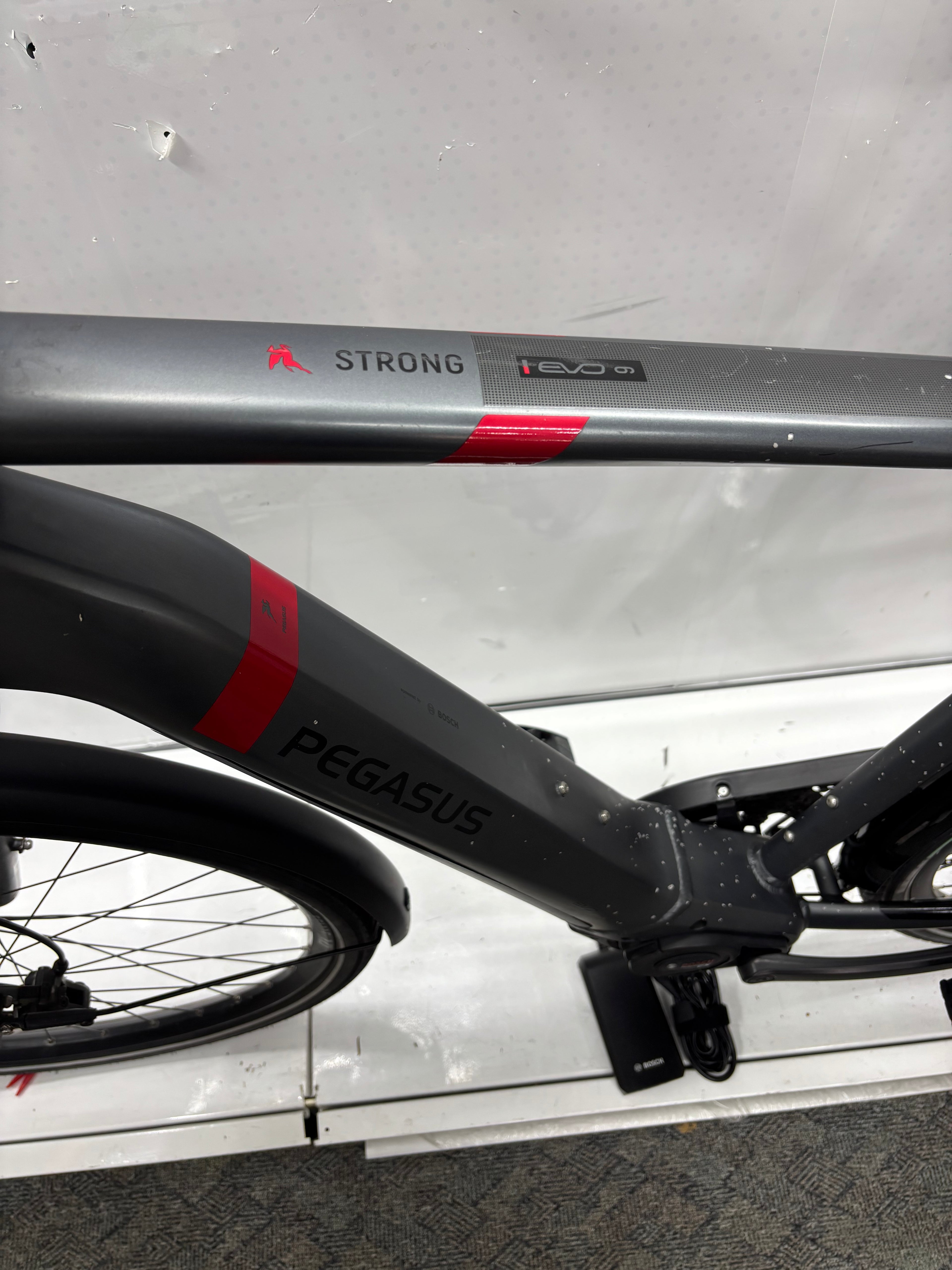 Pegasus Strong EVO 9, RH63 für große Männer