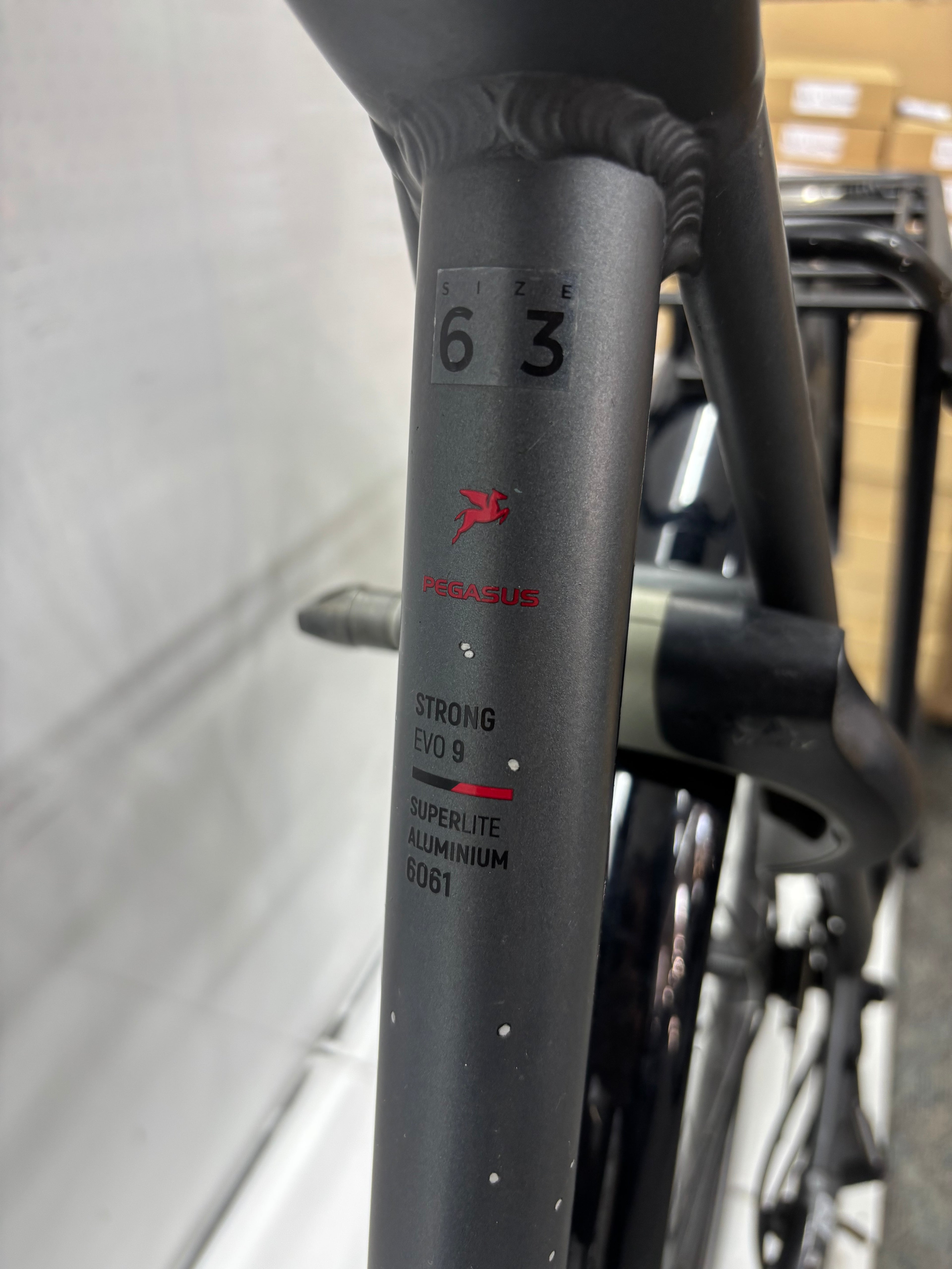 Pegasus Strong EVO 9, RH63 für große Männer