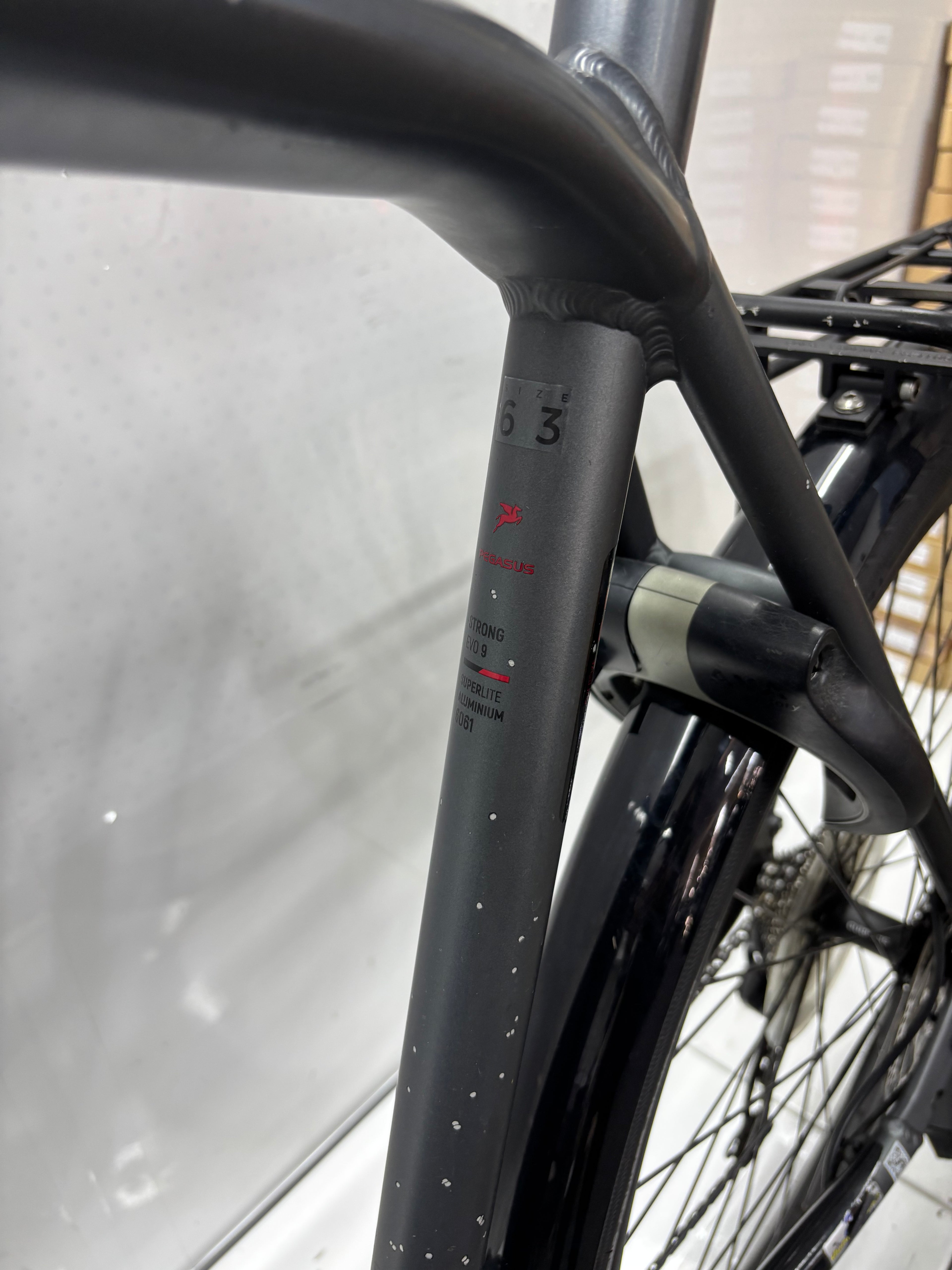 Pegasus Strong EVO 9, RH63 für große Männer