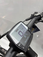 Pegasus Strong EVO 9, RH63 für große Männer