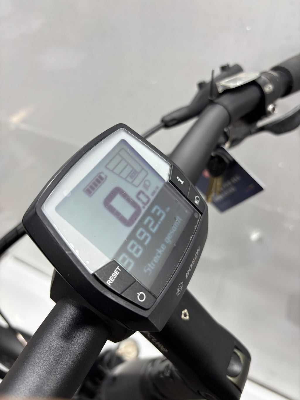 Pegasus Strong EVO 9, RH63 für große Männer