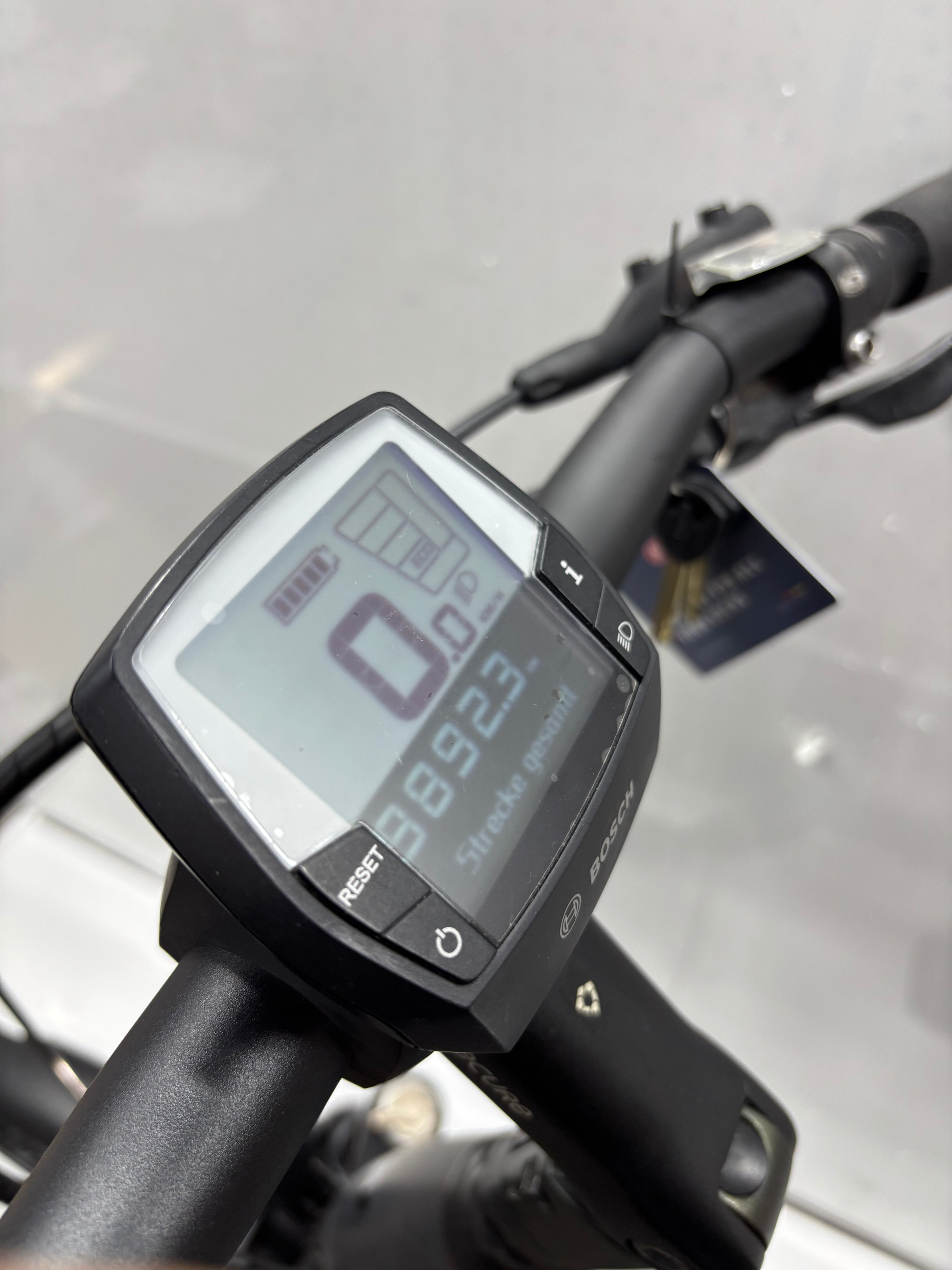Pegasus Strong EVO 9, RH63 für große Männer