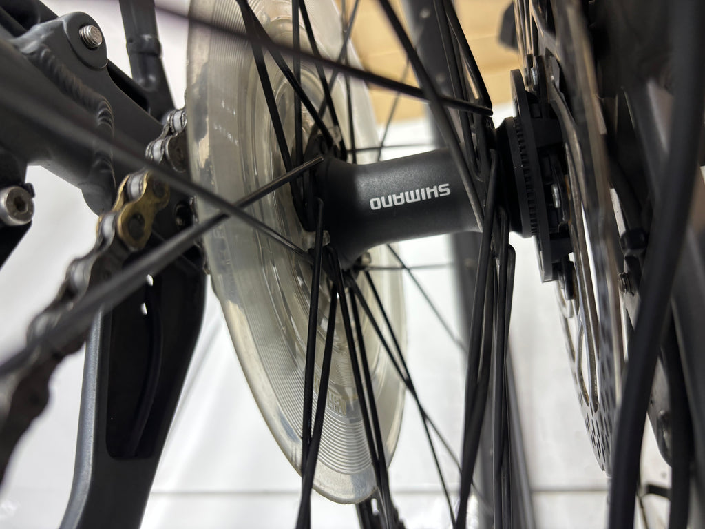 Pegasus Strong EVO 9, RH63 für große Männer