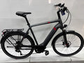 Pegasus Strong EVO 9, RH63 für große Männer