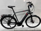 Pegasus Strong EVO 9, RH63 für große Männer