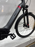 Pegasus Strong EVO 9, RH63 für große Männer