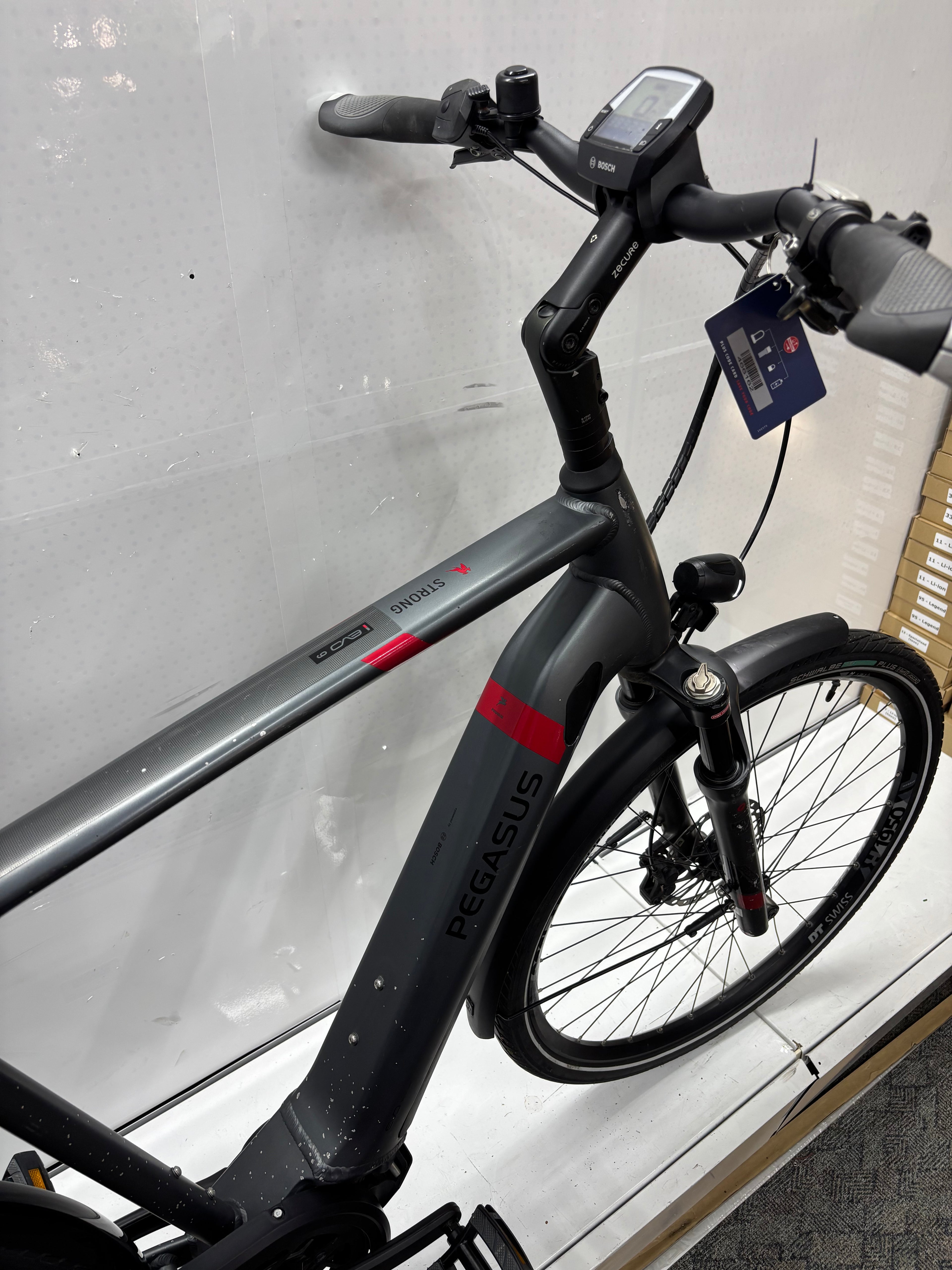 Pegasus Strong EVO 9, RH63 für große Männer