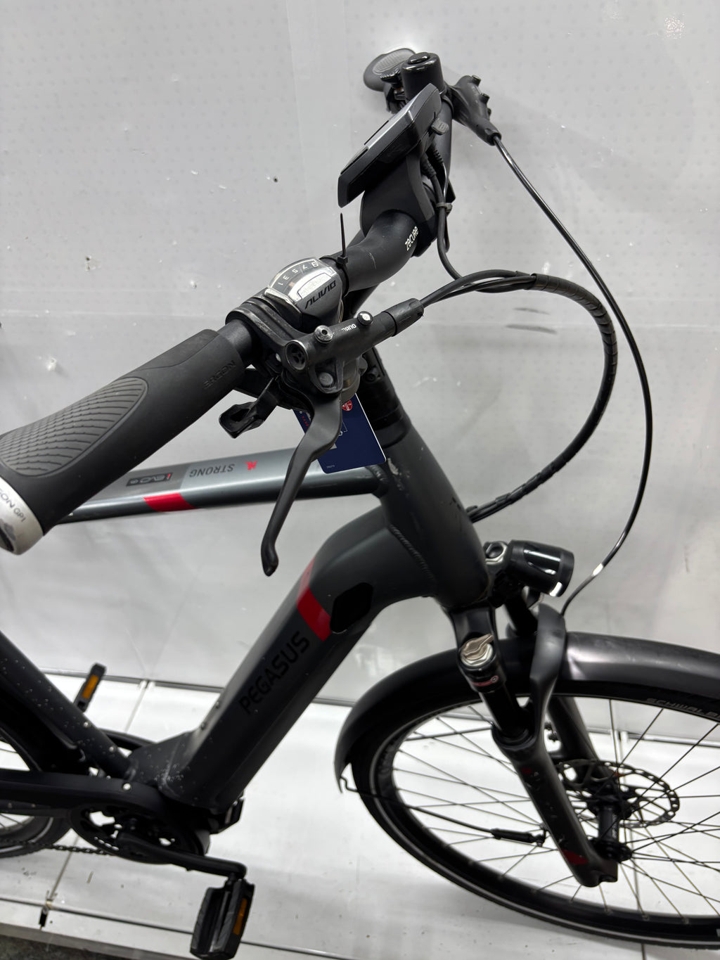 Pegasus Strong EVO 9, RH63 für große Männer