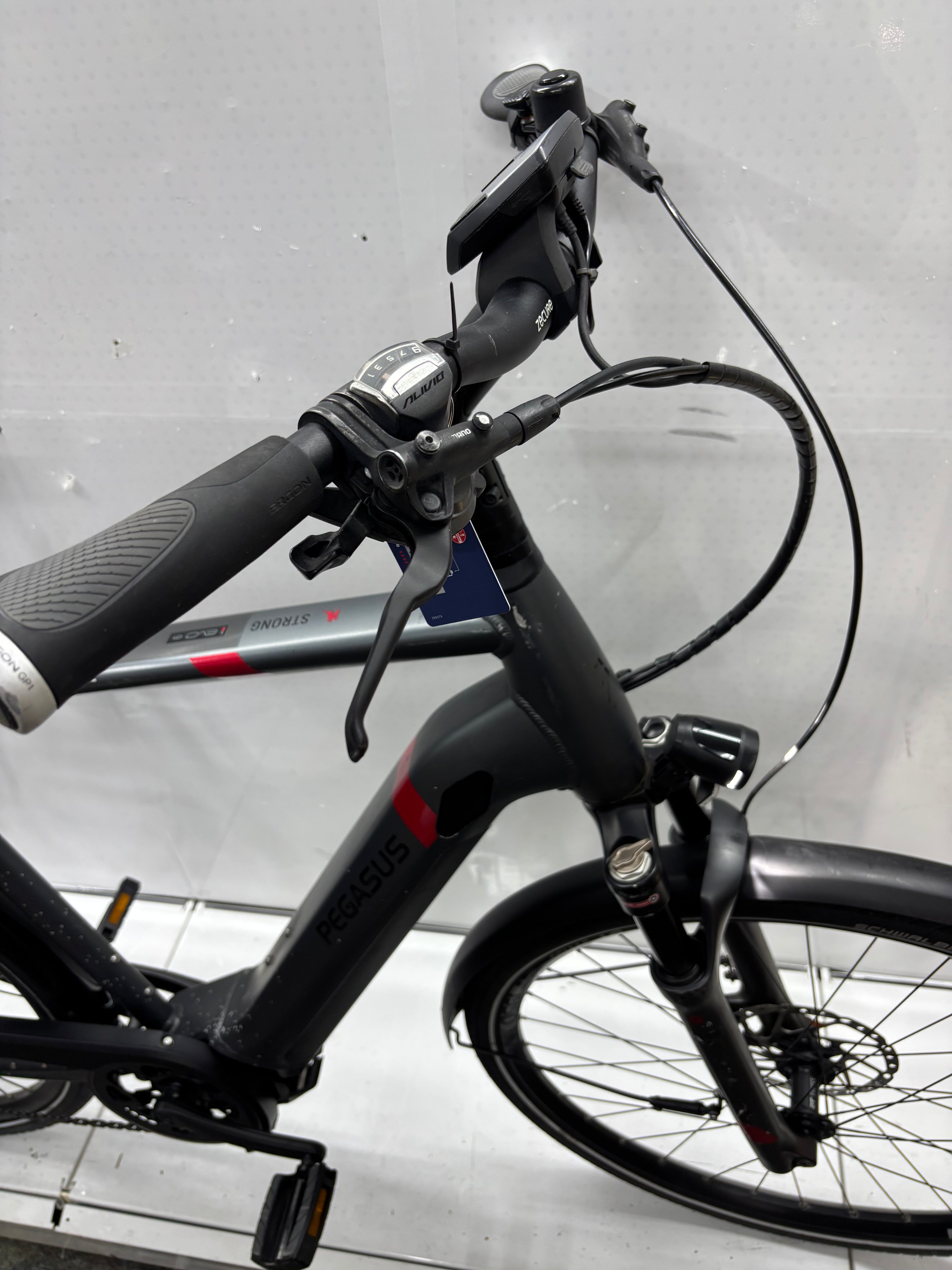 Pegasus Strong EVO 9, RH63 für große Männer
