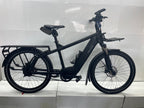 Riese und Müller Multicharger GT750 Cargo - Lastenrad