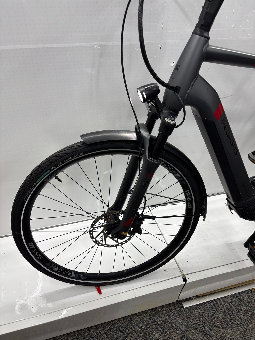 Pegasus Strong EVO 9, RH63 für große Männer