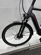 Pegasus Strong EVO 9, RH63 für große Männer