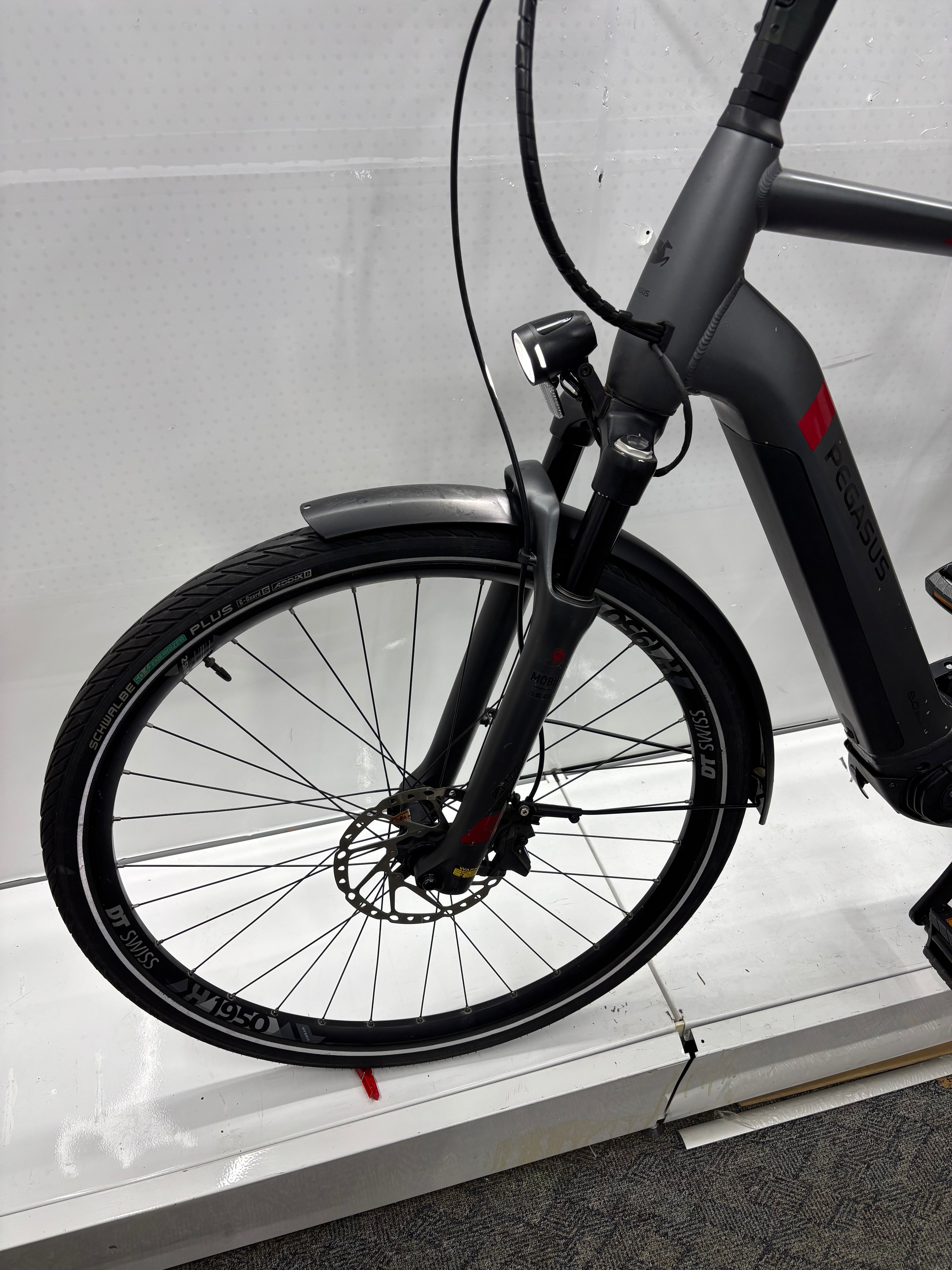 Pegasus Strong EVO 9, RH63 für große Männer