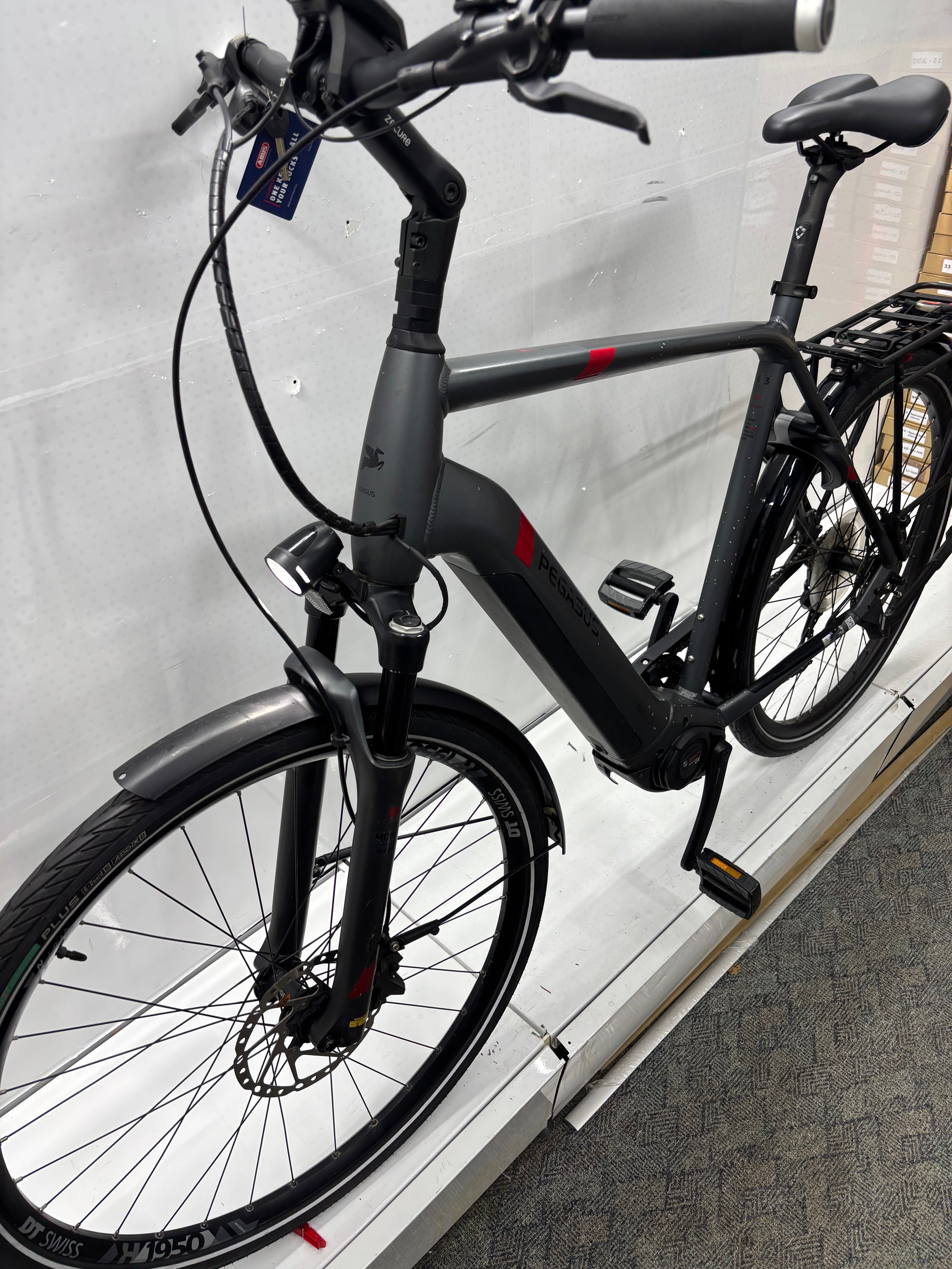 Pegasus Strong EVO 9, RH63 für große Männer
