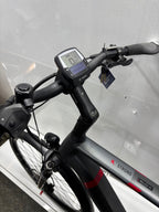 Pegasus Strong EVO 9, RH63 für große Männer