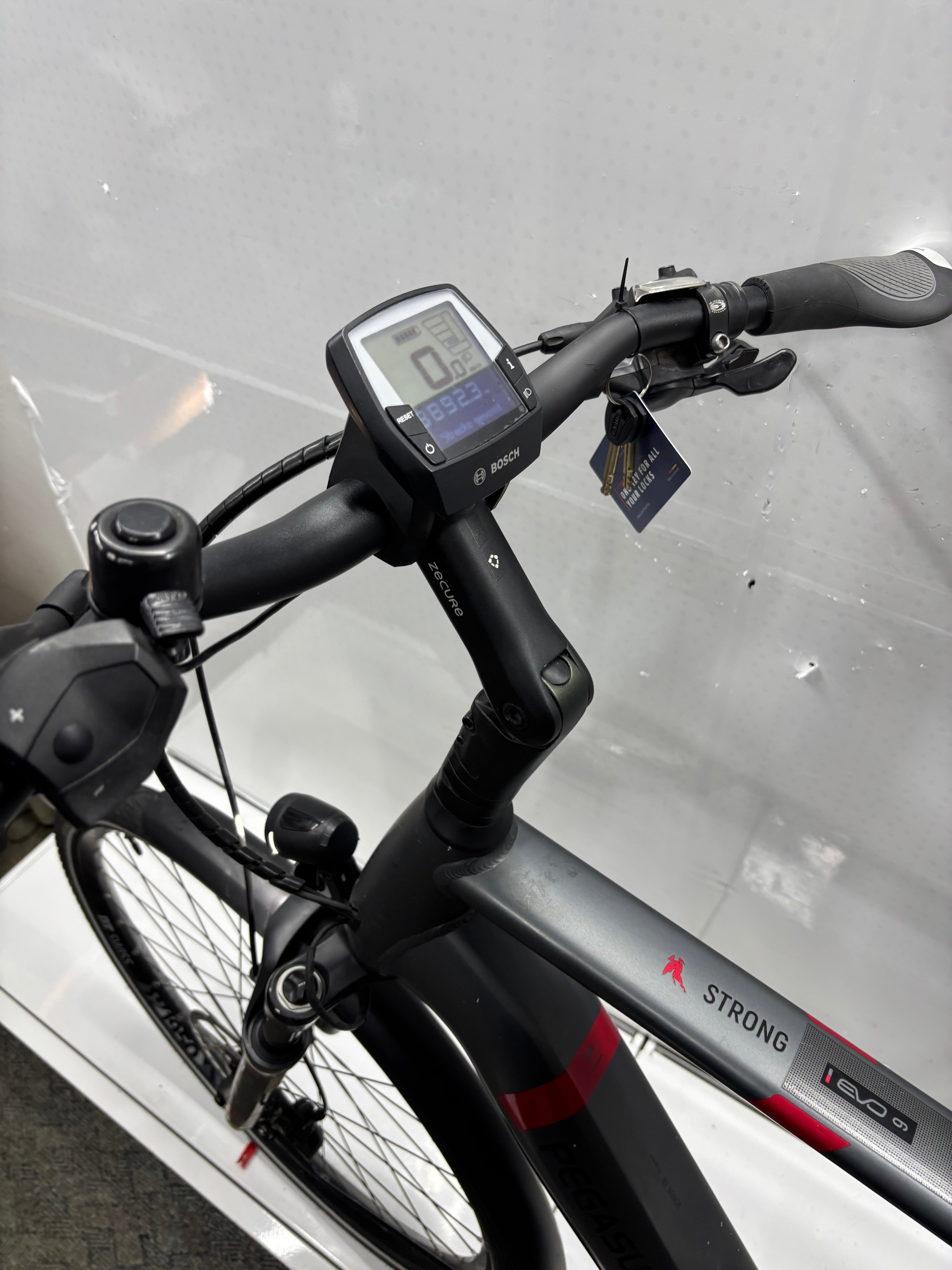 Pegasus Strong EVO 9, RH63 für große Männer