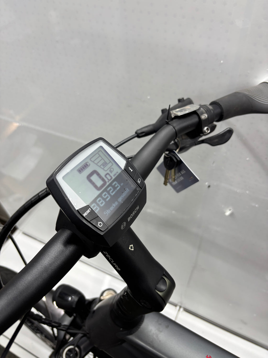 Pegasus Strong EVO 9, RH63 für große Männer