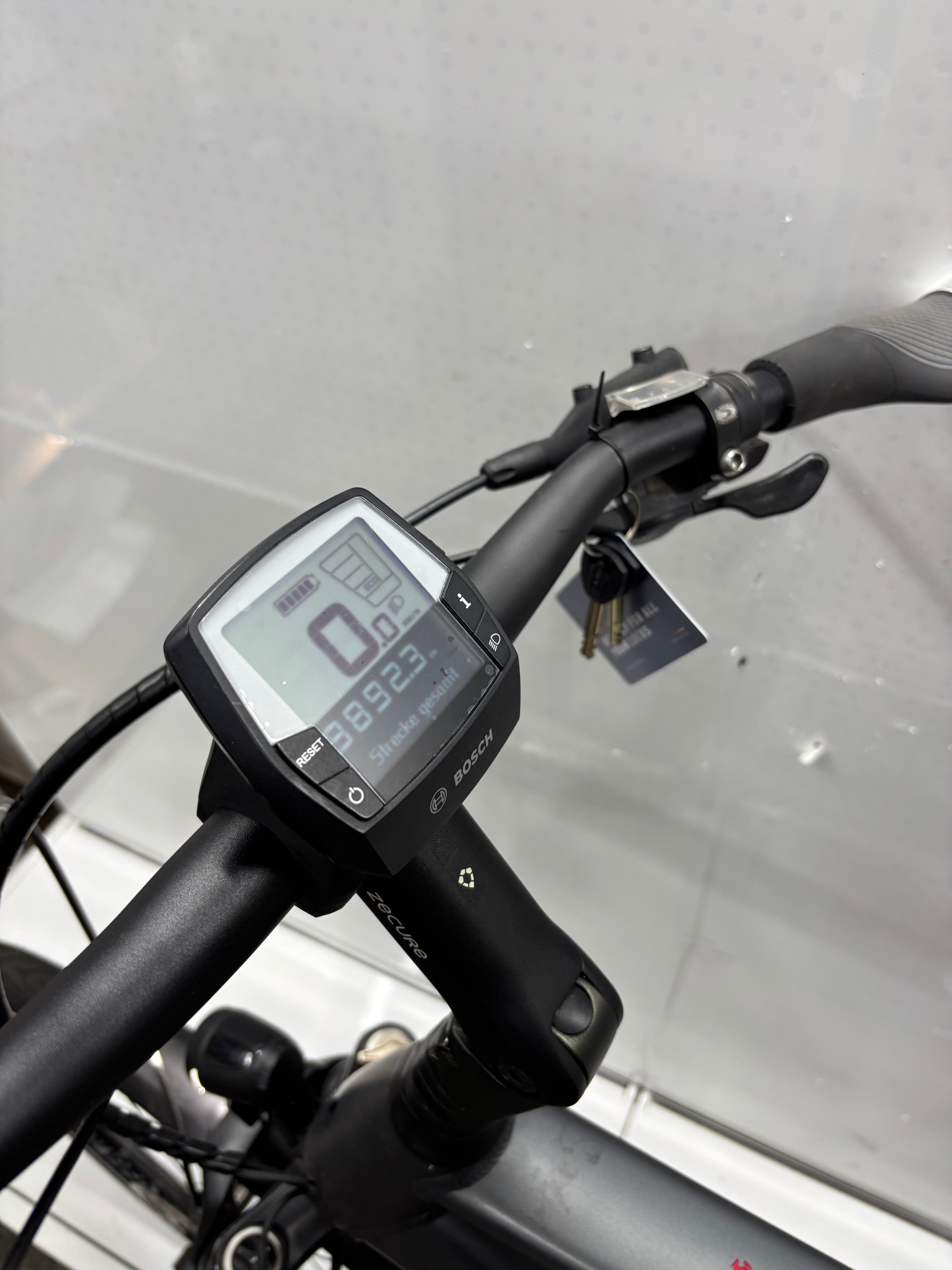 Pegasus Strong EVO 9, RH63 für große Männer