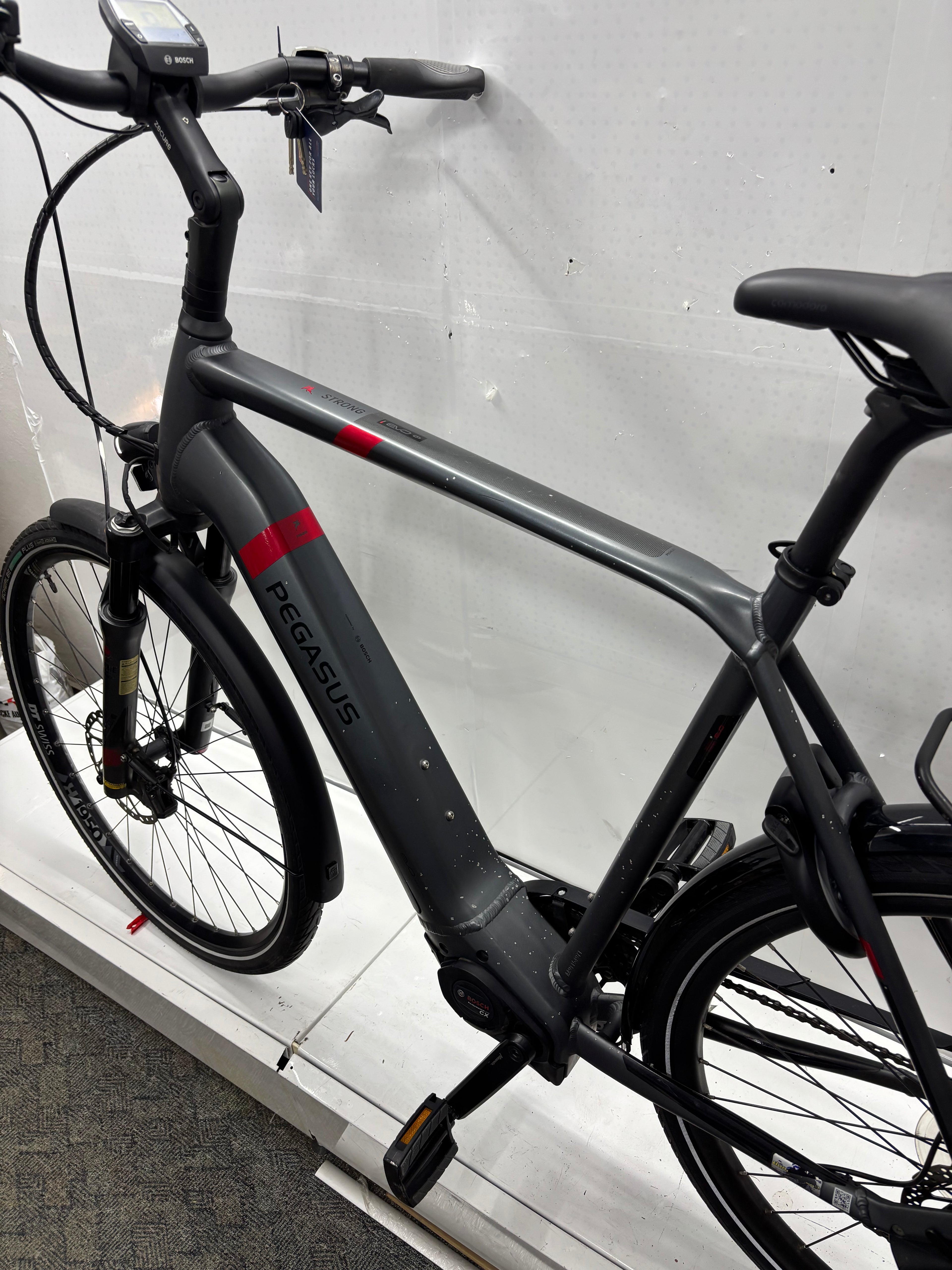 Pegasus Strong EVO 9, RH63 für große Männer