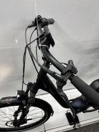Raleigh Kingston