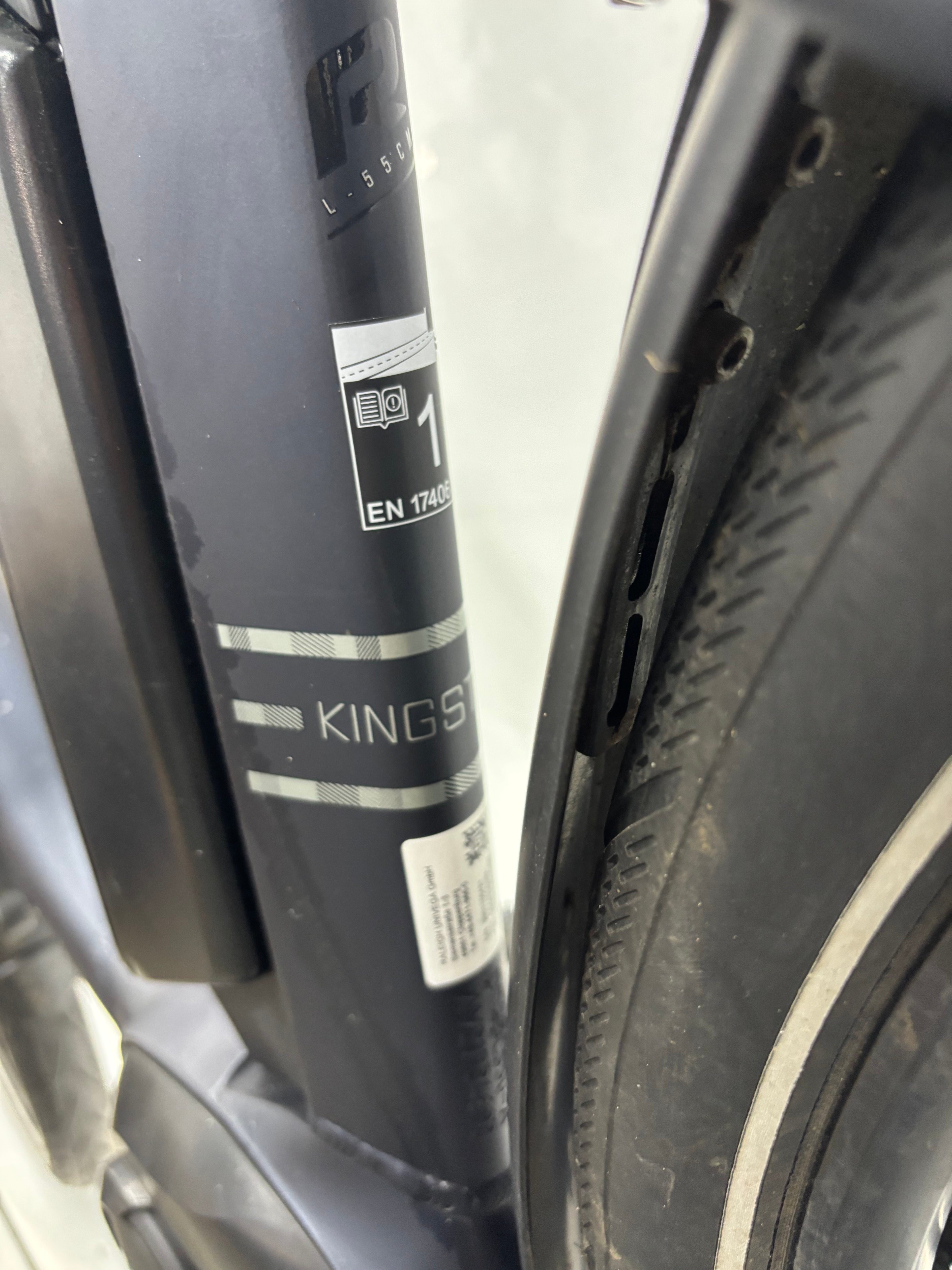 Raleigh Kingston