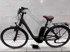 Raymon CityRay E 2.0