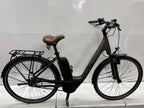 Raymon CityRay E 2.0