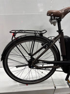 Raymon CityRay E 2.0
