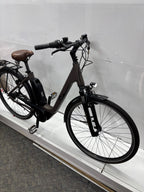 Raymon CityRay E 2.0