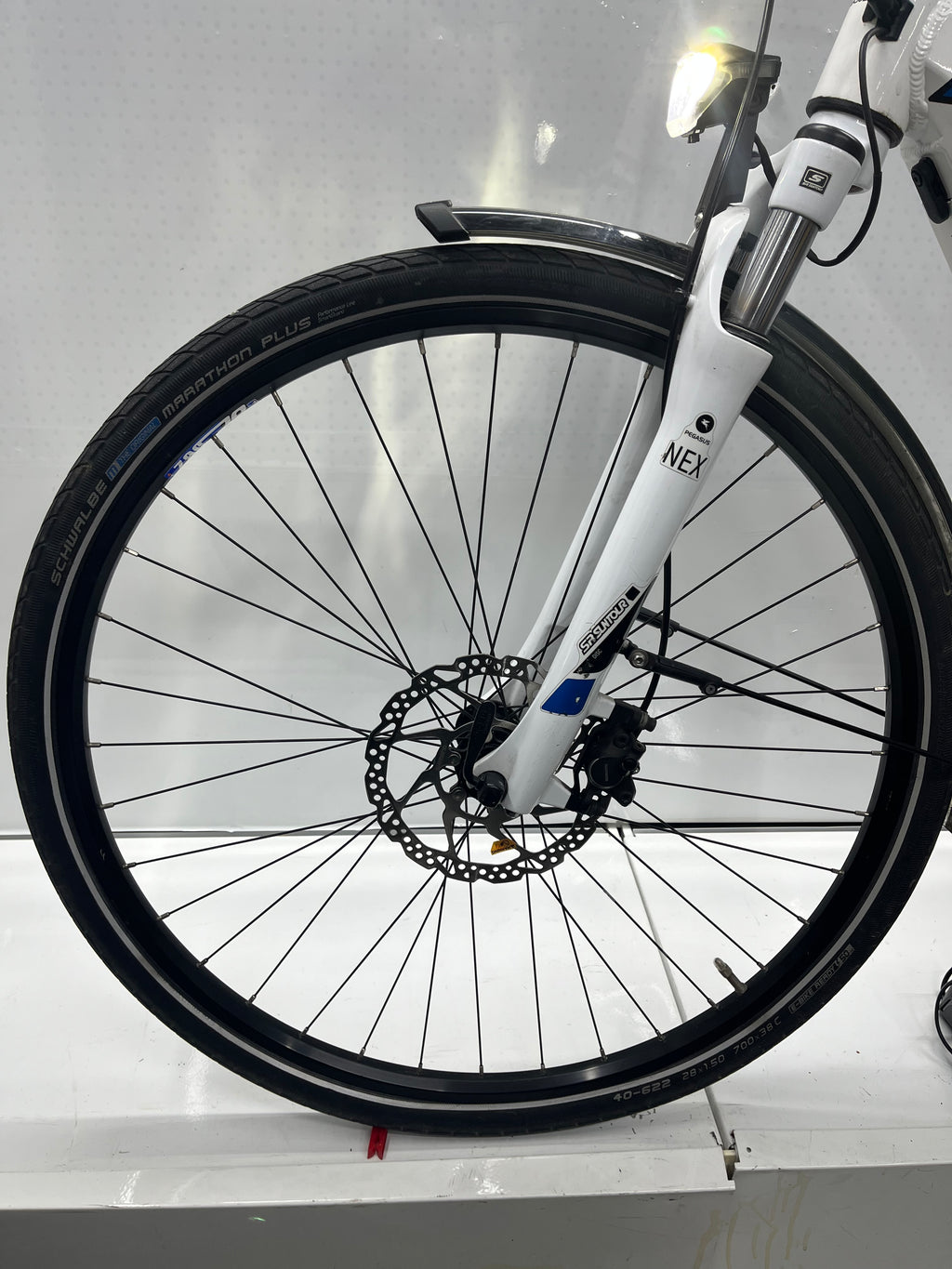 Pegasus Premio Evo 10