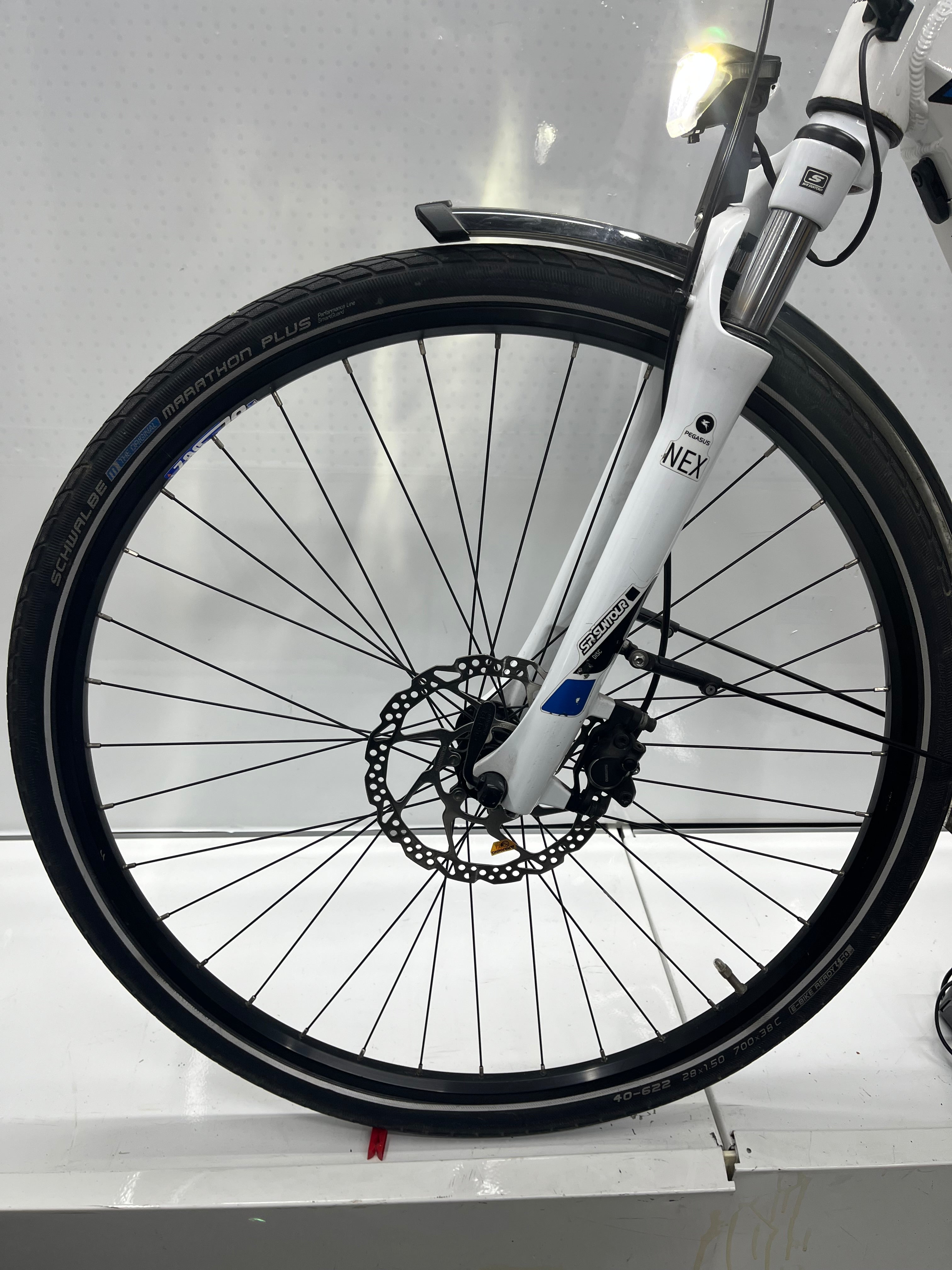 Pegasus Premio Evo 10