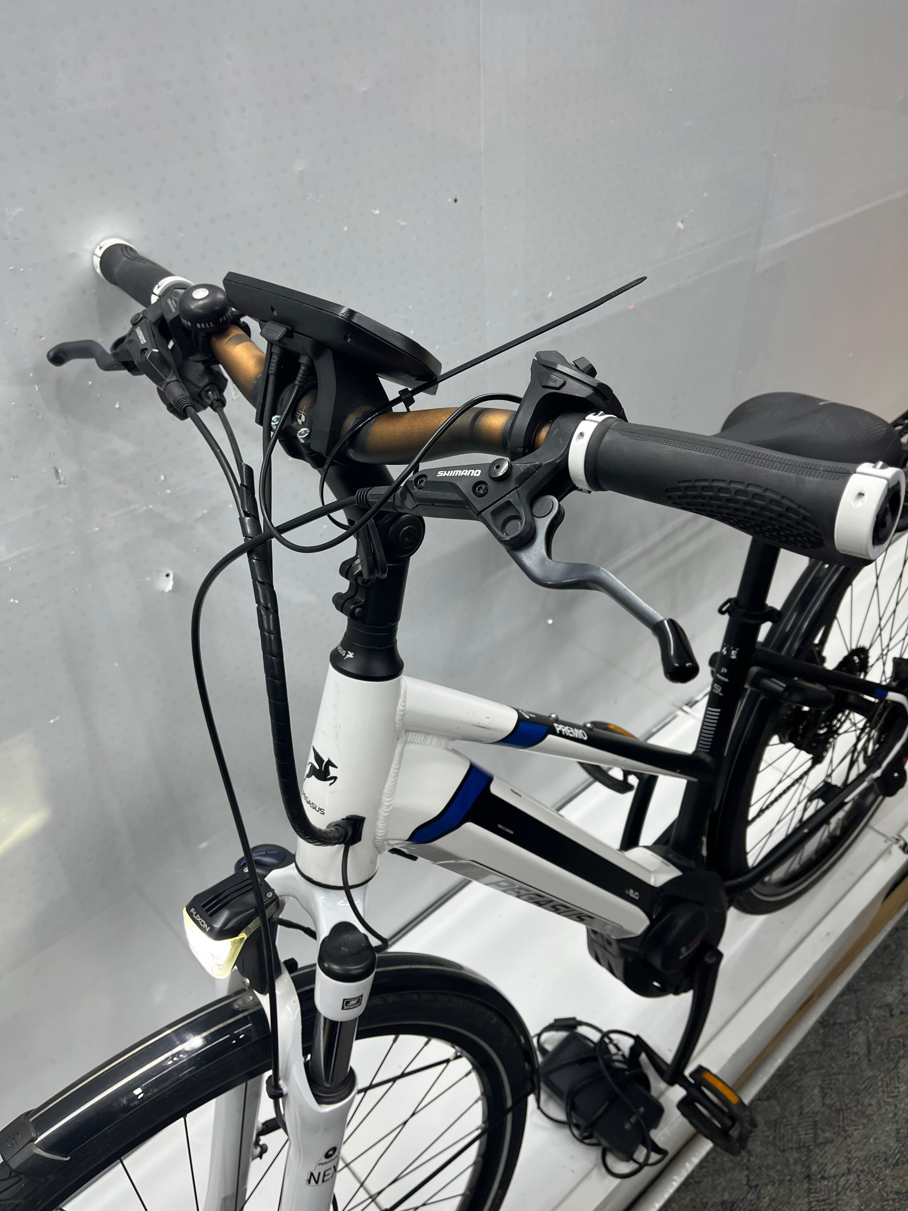 Pegasus Premio Evo 10