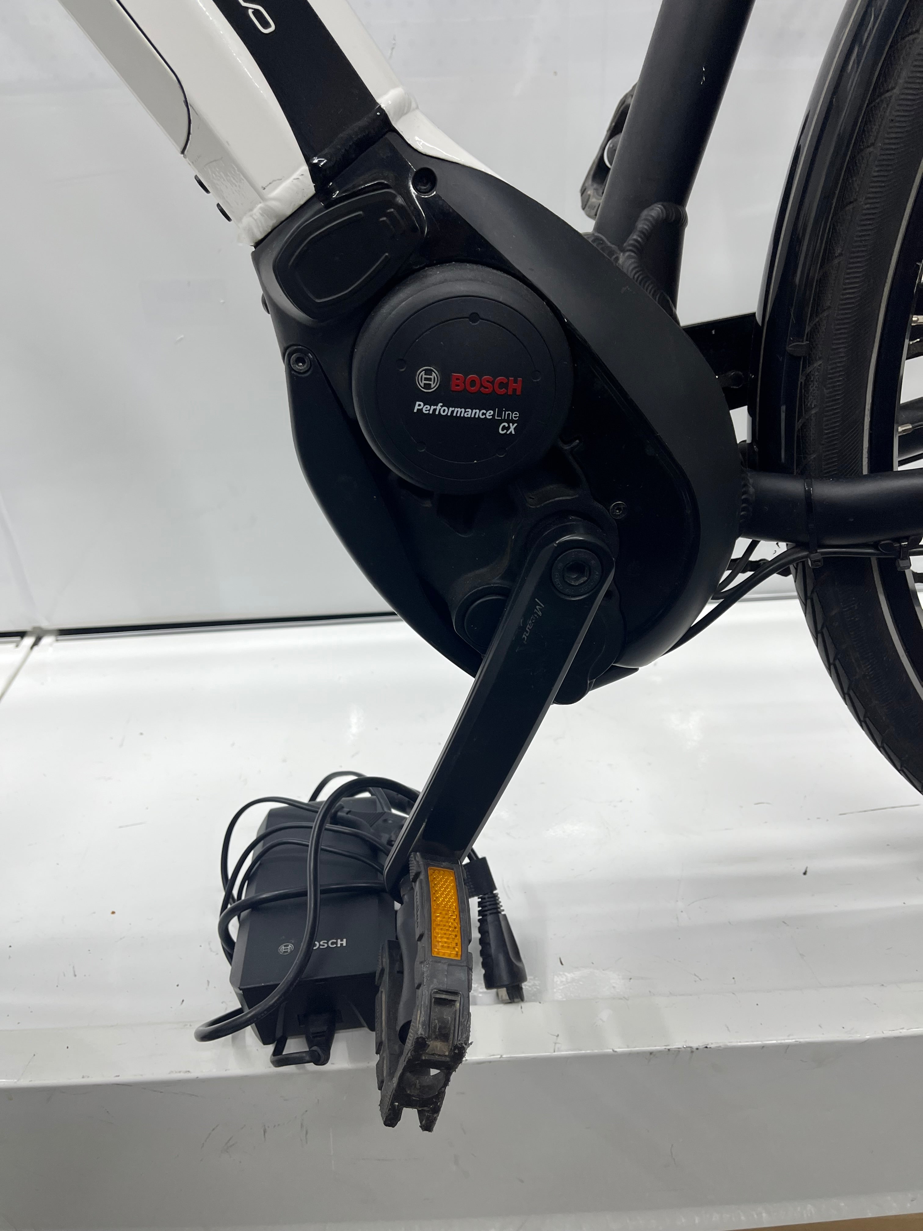 Pegasus Premio Evo 10