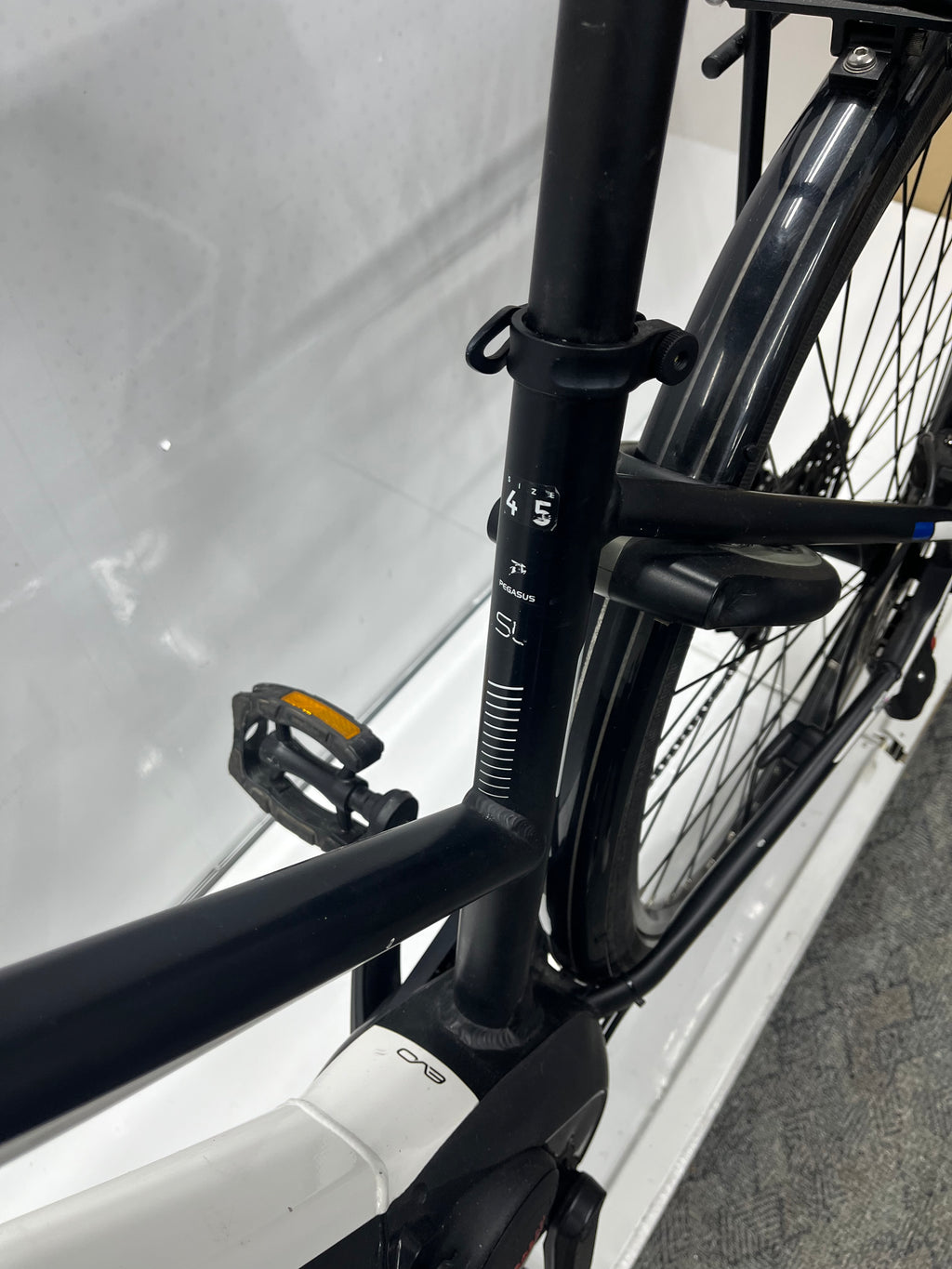 Pegasus Premio Evo 10