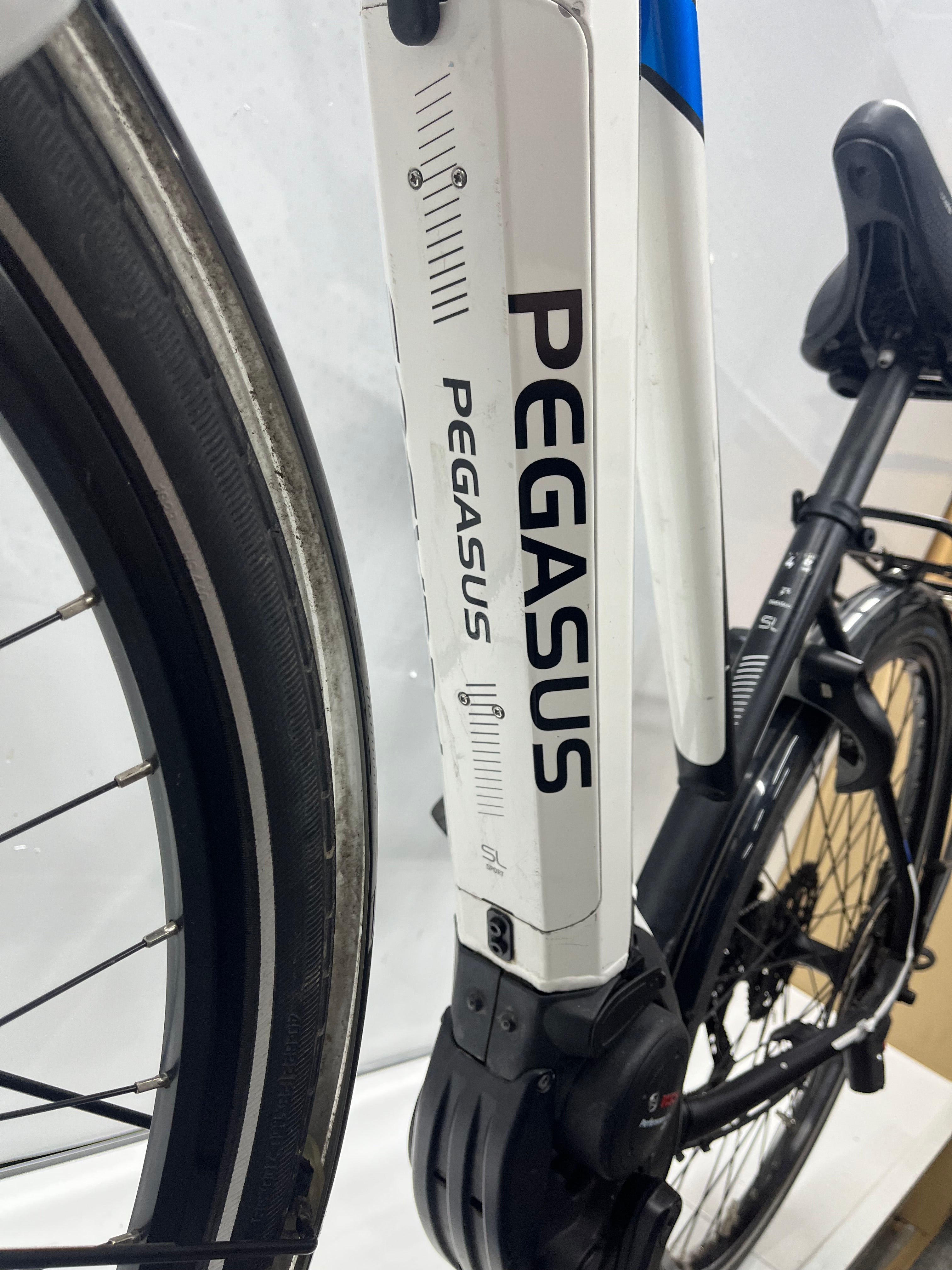 Pegasus Premio Evo 10