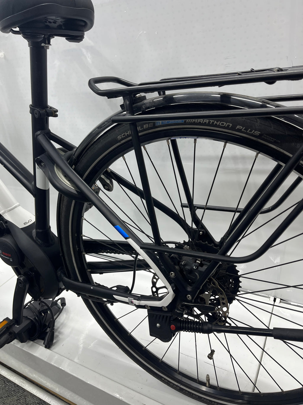 Pegasus Premio Evo 10