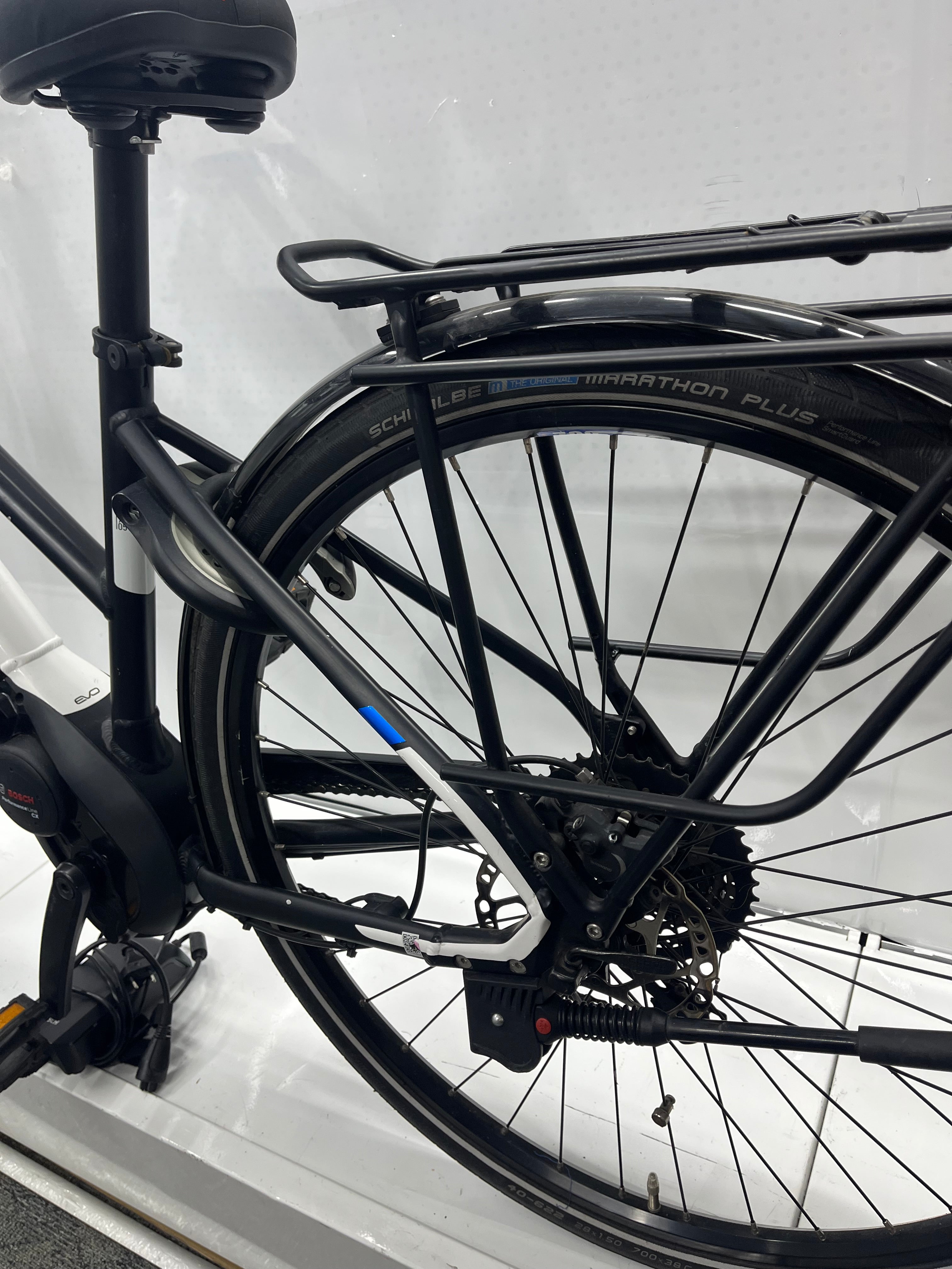 Pegasus Premio Evo 10
