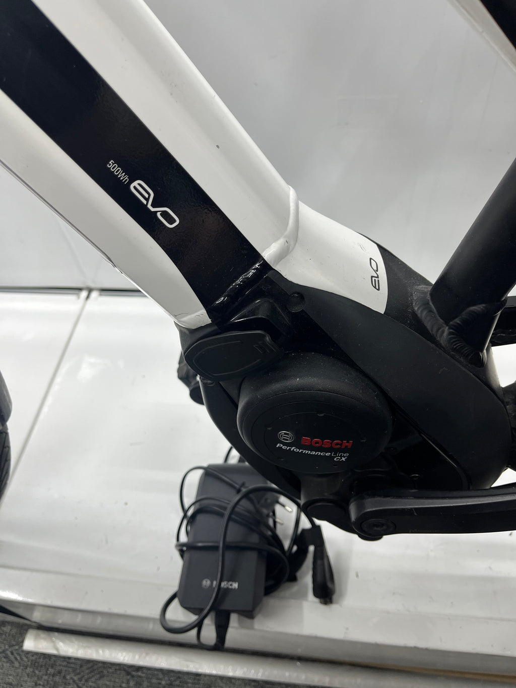 Pegasus Premio Evo 10