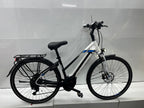 Pegasus Premio Evo 10