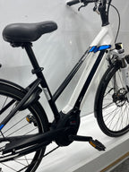 Pegasus Premio Evo 10
