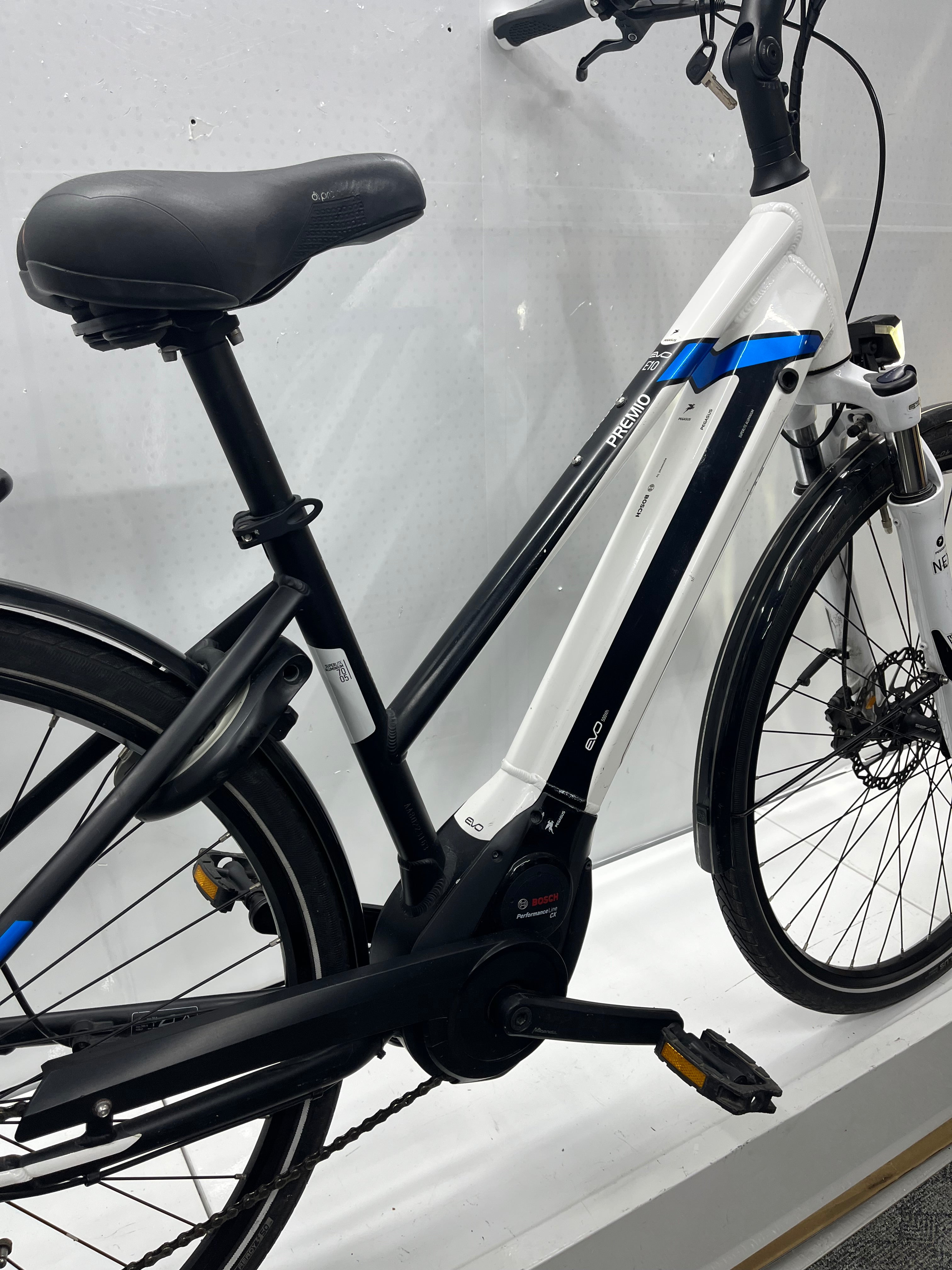 Pegasus Premio Evo 10
