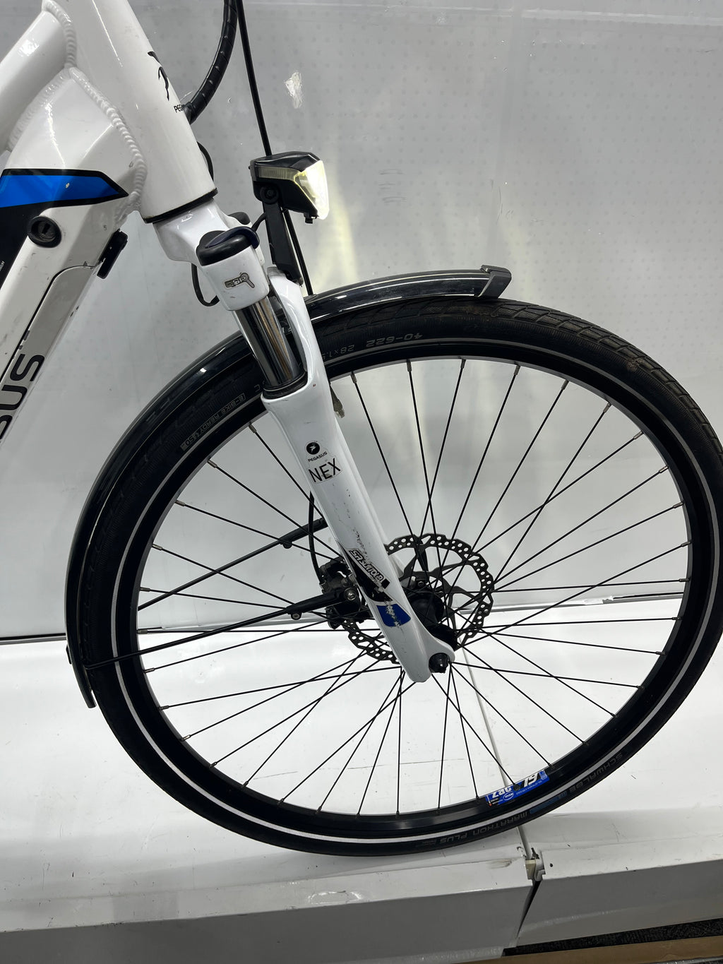 Pegasus Premio Evo 10