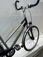 Hercules Sporting Trekking  - ideal für Bahnhof