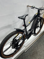 Haibike Hardseven 10