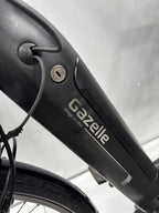 Gazelle Arroyo C7