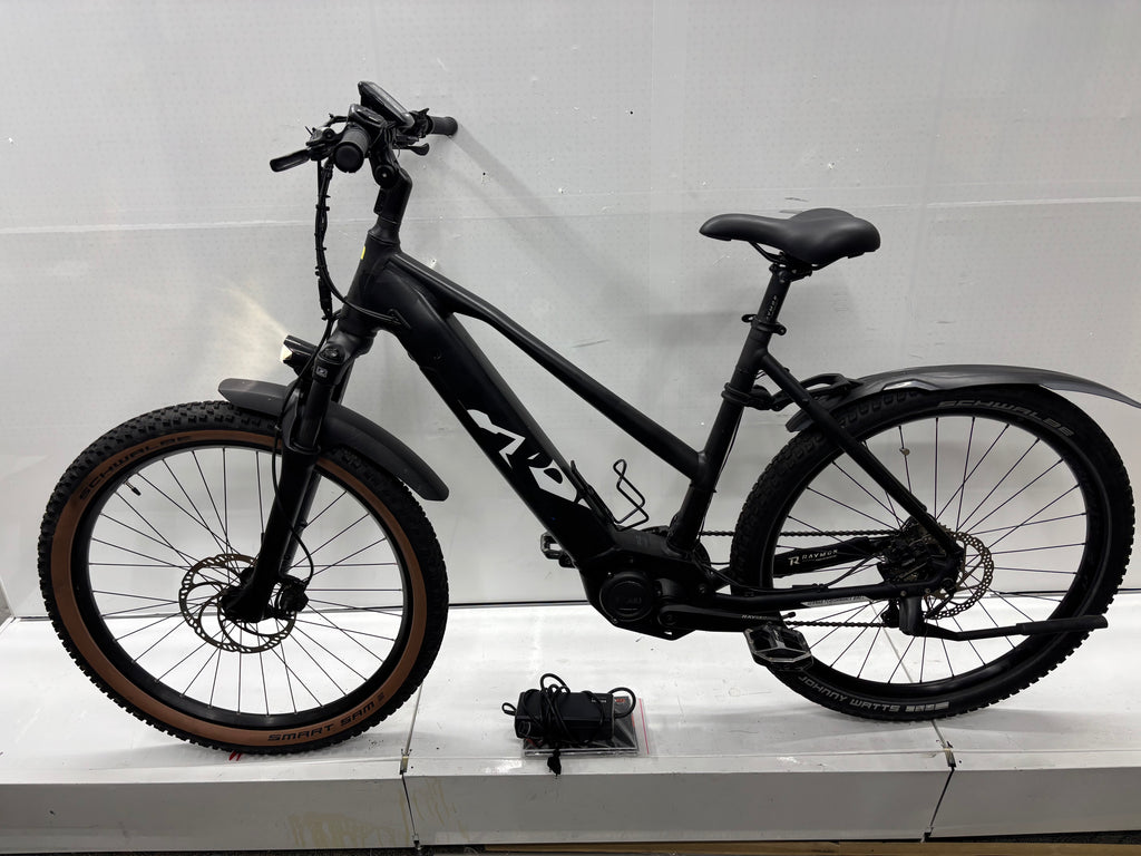 Raymon Mountainbike E-Bike